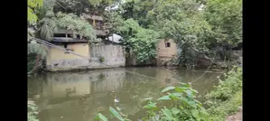 বেদখলি উন্মুক্ত জমি