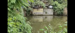 বেদখলি উন্মুক্ত জমি