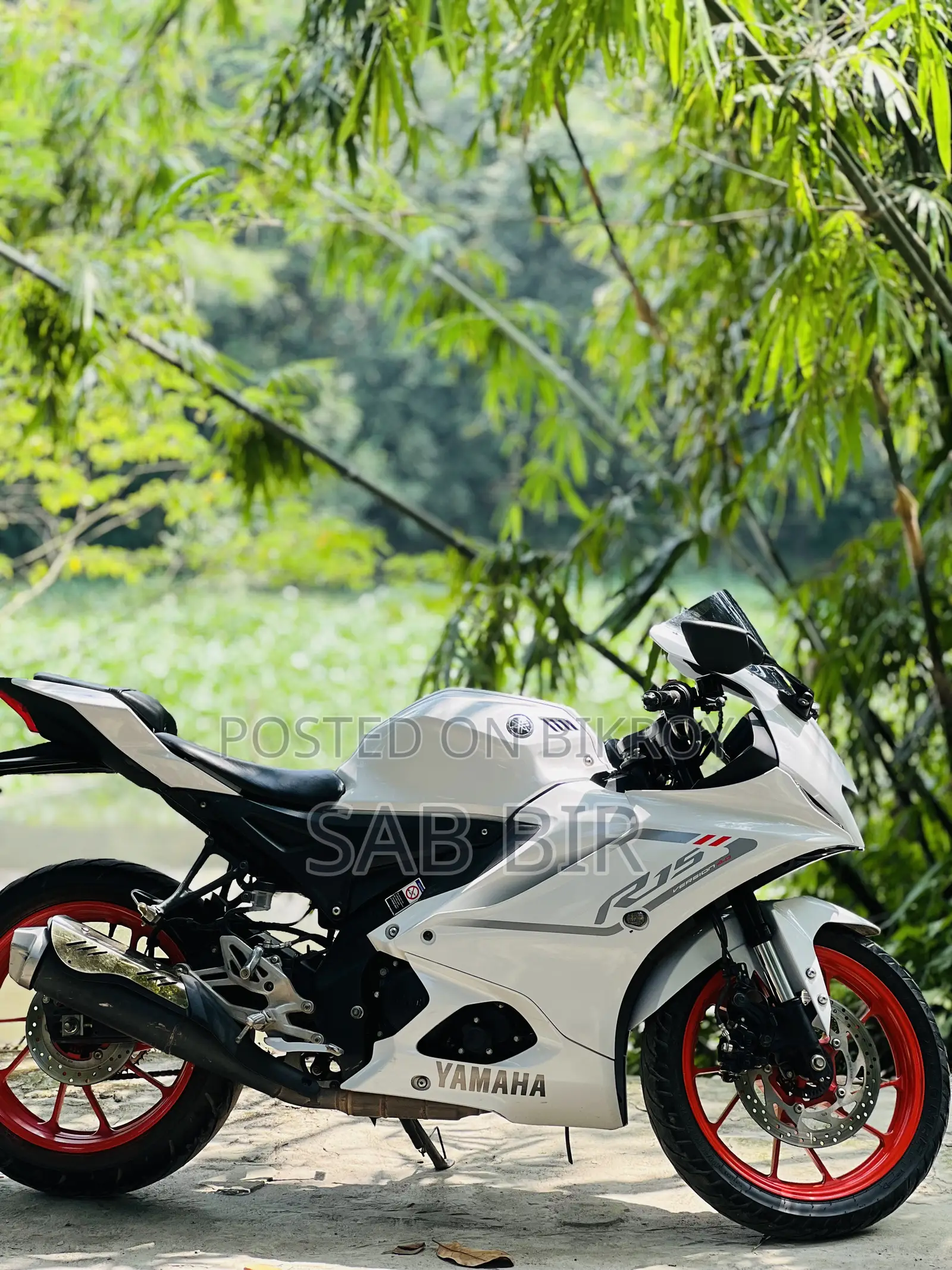 Yamaha R1 2024 White