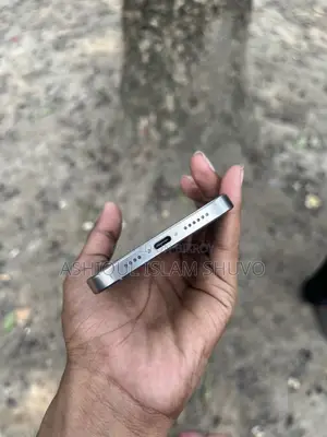 Apple iPhone 16 Pro Max 256 GB