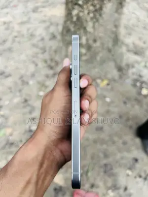 Apple iPhone 16 Pro Max 256 GB