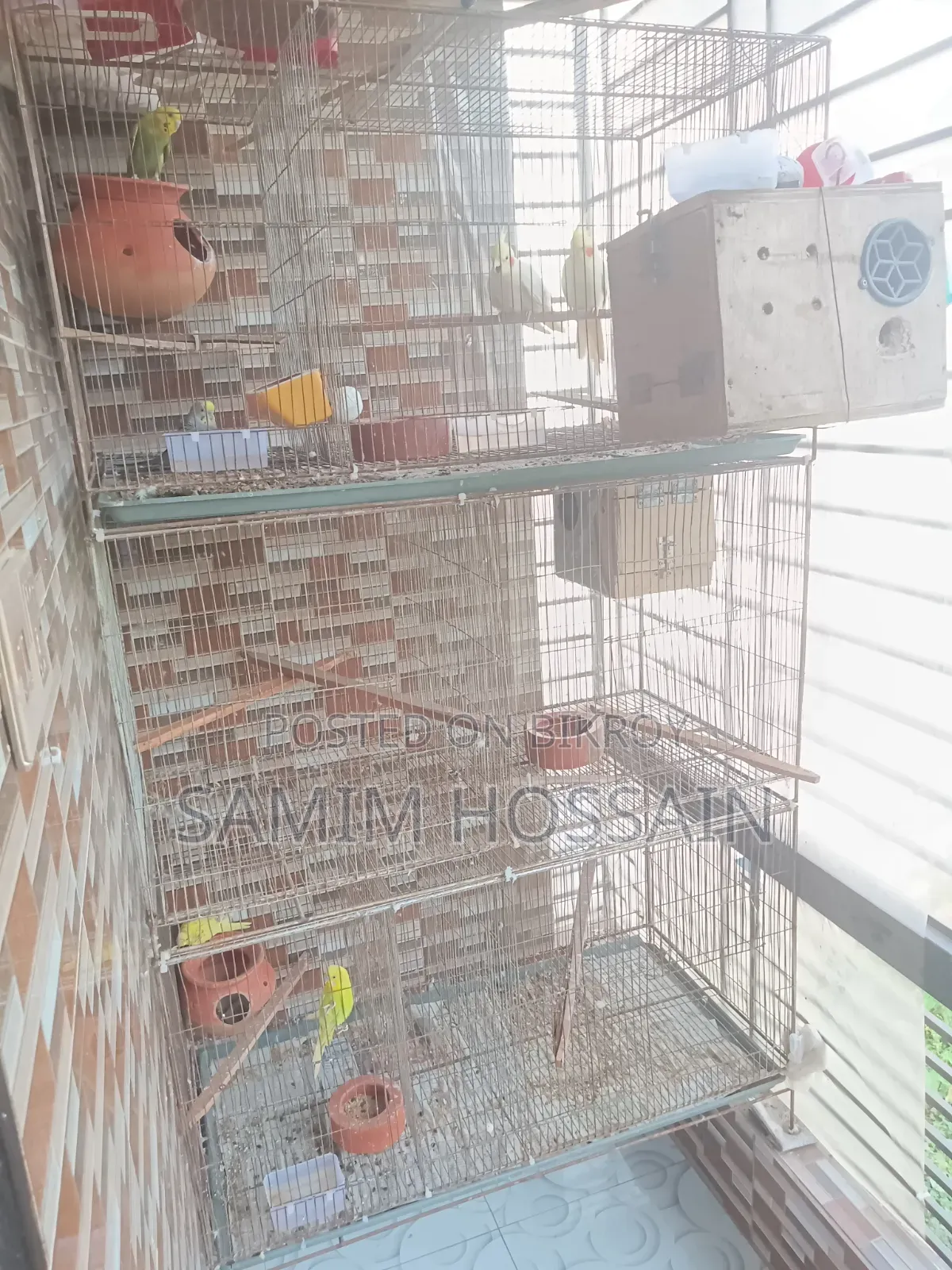 ১৮/৩৬ পাখির খাঁচা তিনটি
