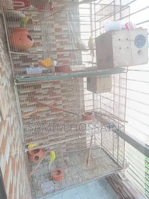 ১৮/৩৬ পাখির খাঁচা তিনটি