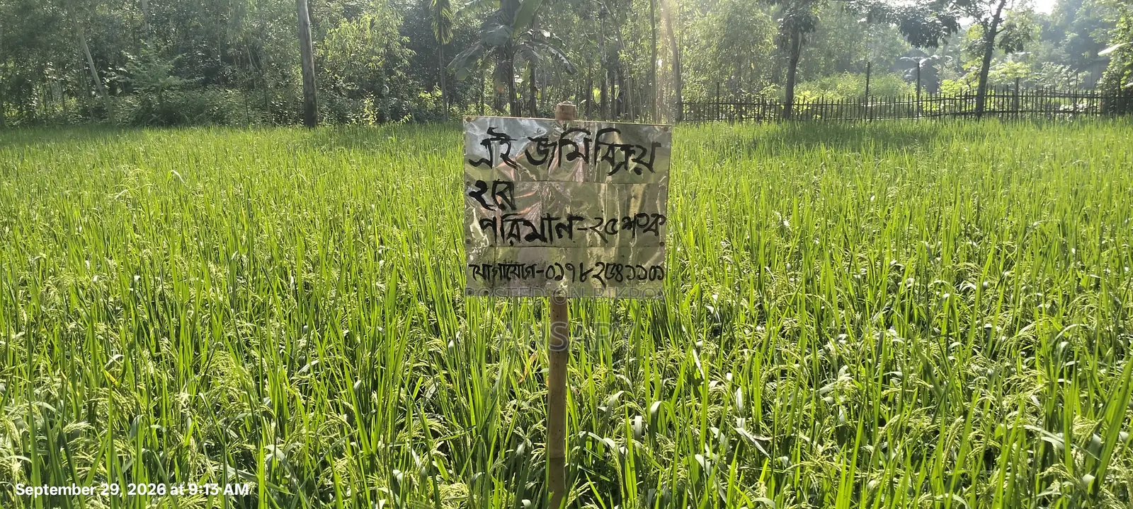Land for sale. Quantity: 25 decimals. Location: Purba Noshratpur (Hotathpara)
