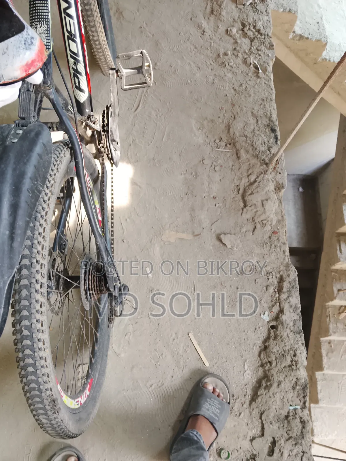 ফেনিক্স কিউবিও ২৬" ২১ স্পিড গিয়ার মাউন্টেন বাইক
