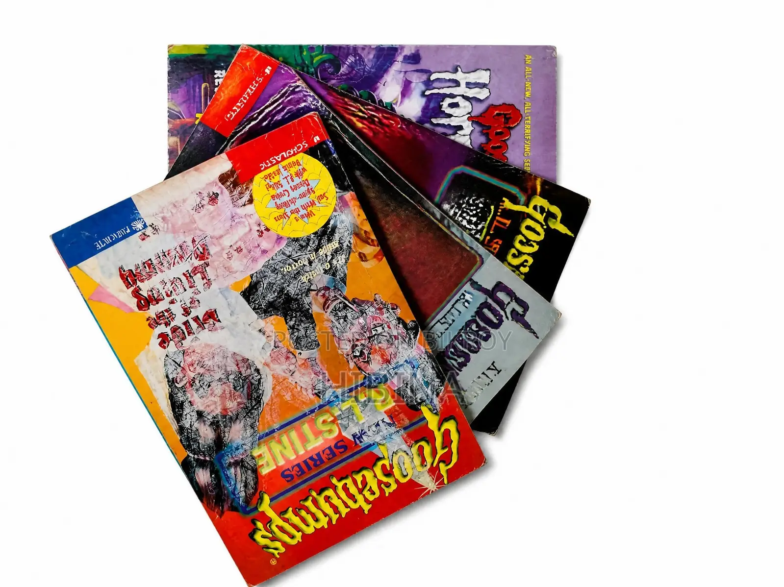 Goosebumps Series Book