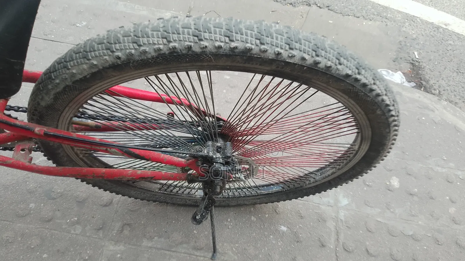 25" Cycle for Everyone's