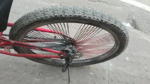 25" Cycle for Everyone's