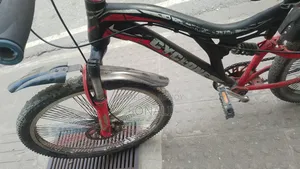 25" Cycle for Everyone's