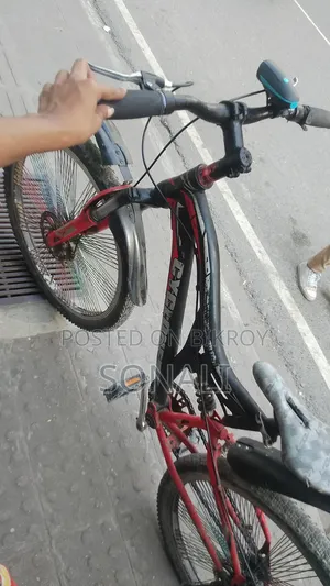 25" Cycle for Everyone's