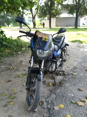 Bajaj Pulsar 150 2009 Blue
