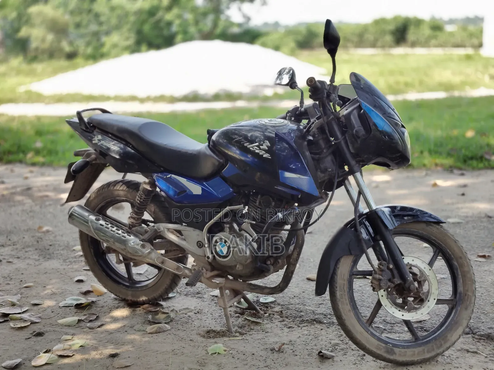 Bajaj Pulsar 150 2009 Blue