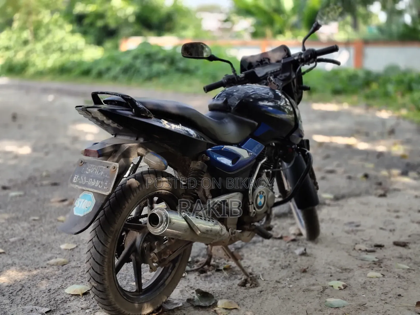 Bajaj Pulsar 150 2009 Blue