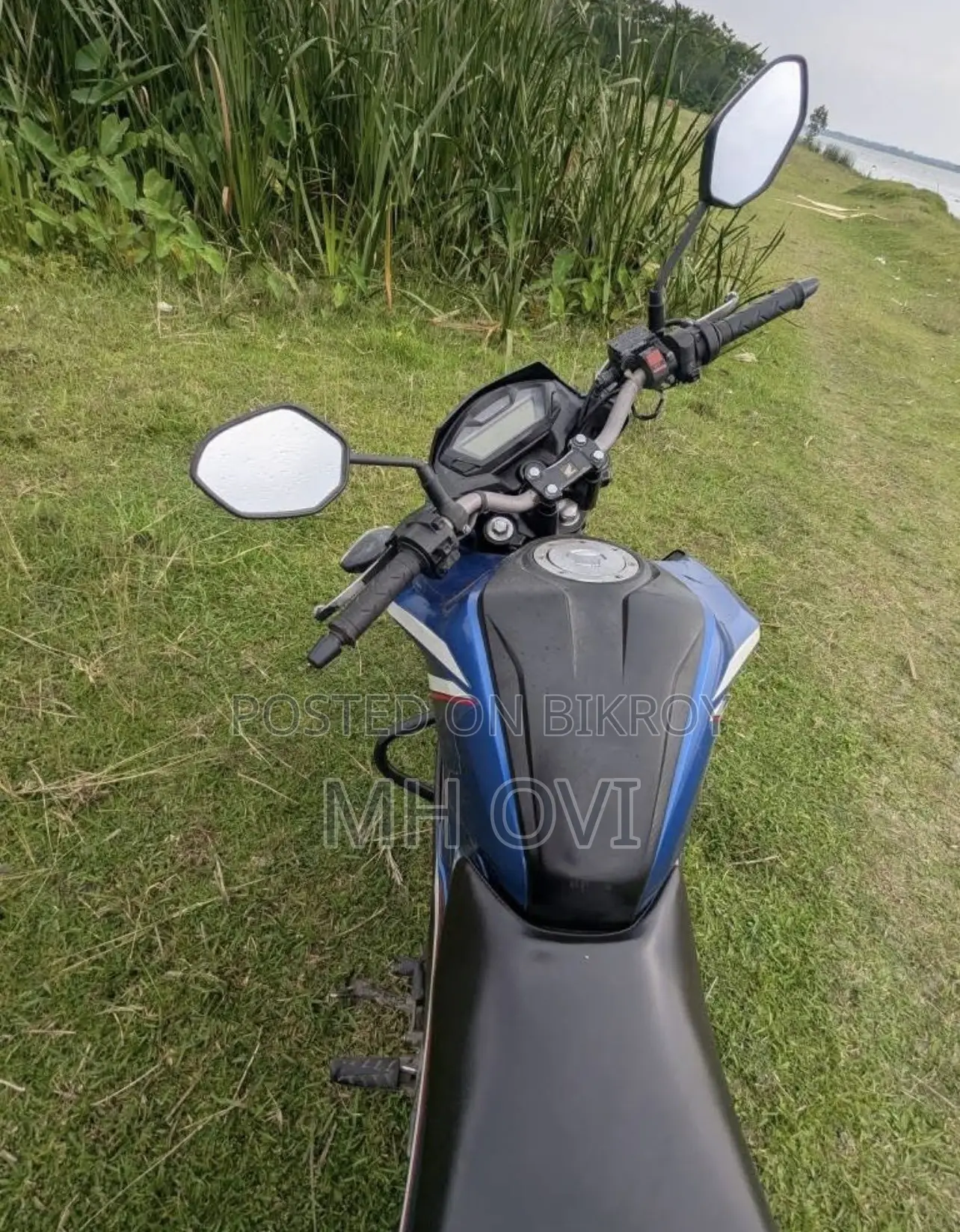 Honda Hornet 2019 Blue