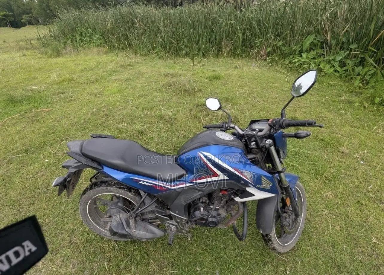 Honda Hornet 2019 Blue