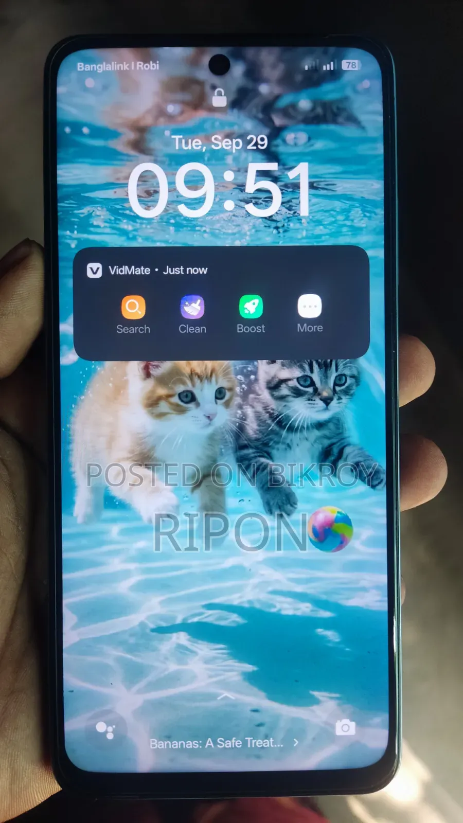 Oppo A60 256 GB Blue