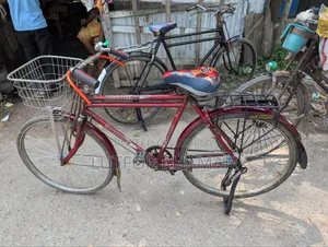 দুরন্ত সাইকেল