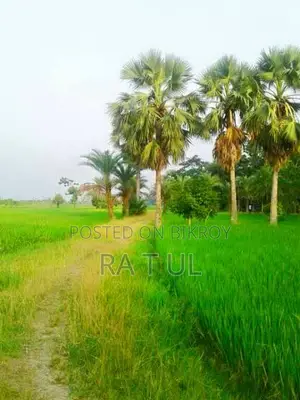 শাহজাদপুরে ৯ শতক জমি বিক্রয় হবে