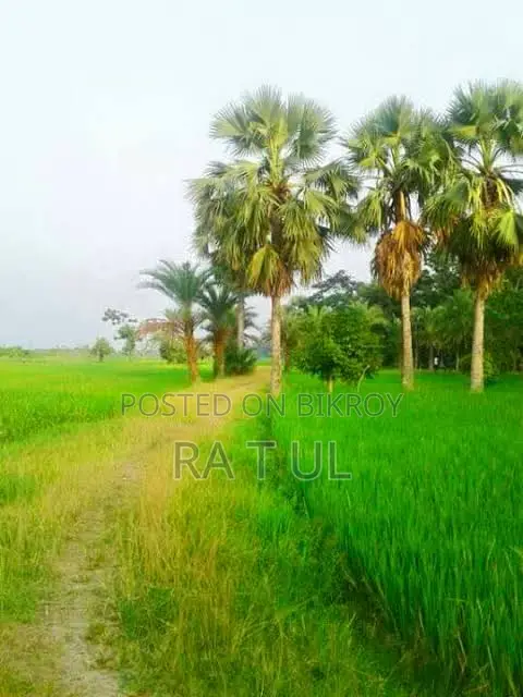 শাহজাদপুরে ৯ শতক জমি বিক্রয় হবে