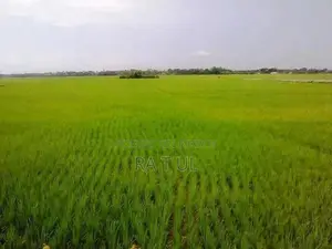 শাহজাদপুরে ৯ শতক জমি বিক্রয় হবে