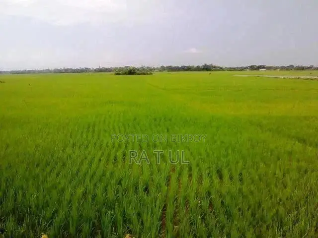 শাহজাদপুরে ৯ শতক জমি বিক্রয় হবে