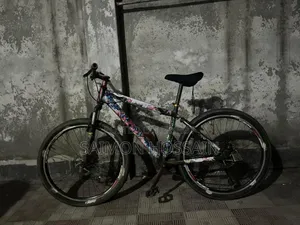 পুরান সাইকেল