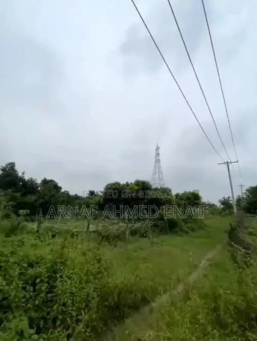 ইমারজেন্সজমি বিক্রয় করা হবে ,জাপানি প্রকল্প (এপিজেড)এর পাশে ,