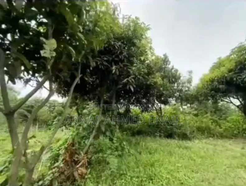 ইমারজেন্সজমি বিক্রয় করা হবে ,জাপানি প্রকল্প (এপিজেড)এর পাশে ,