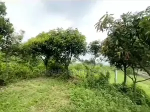 Emergency Land for Sale, Beside Japanese Project (EPZ),