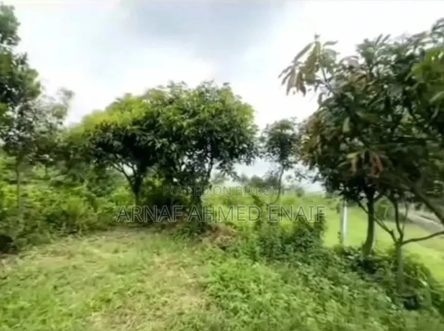 ইমারজেন্সজমি বিক্রয় করা হবে ,জাপানি প্রকল্প (এপিজেড)এর পাশে ,