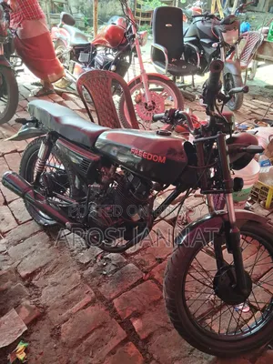 Bajaj Freedom 2010 Black