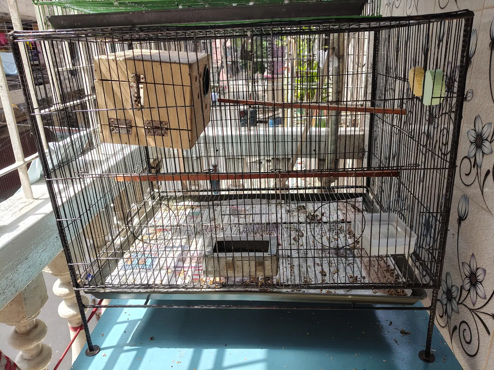 Birds Cage