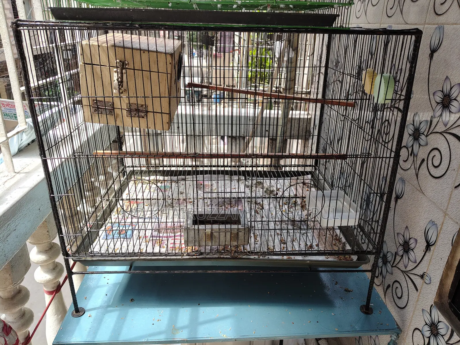 Birds Cage