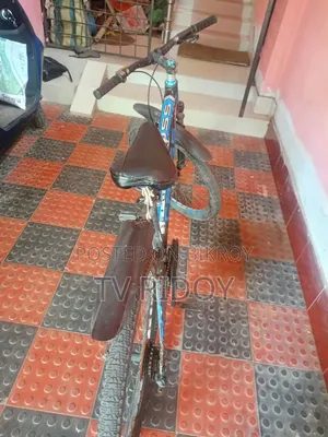 A Good Bicycle