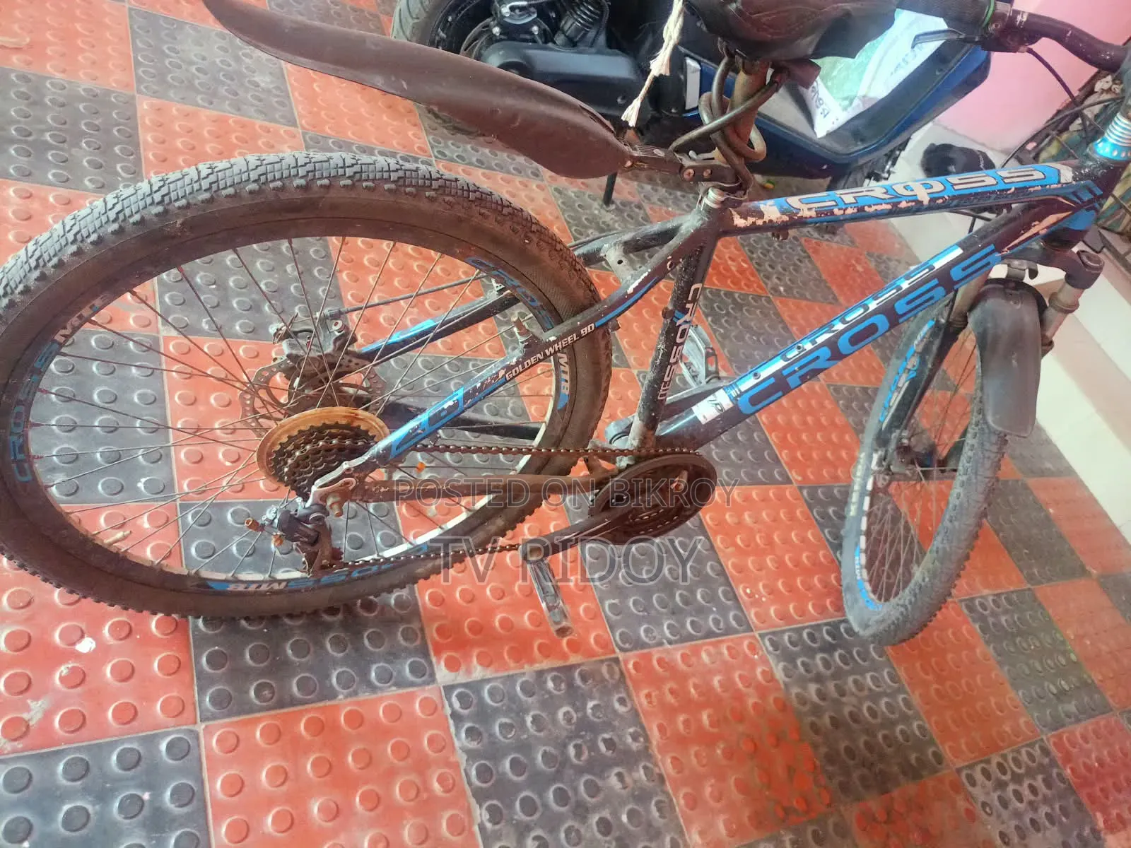 A Good Bicycle