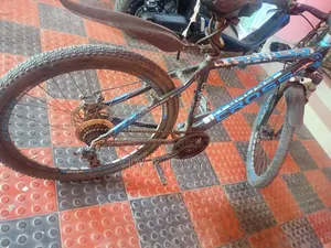A Good Bicycle