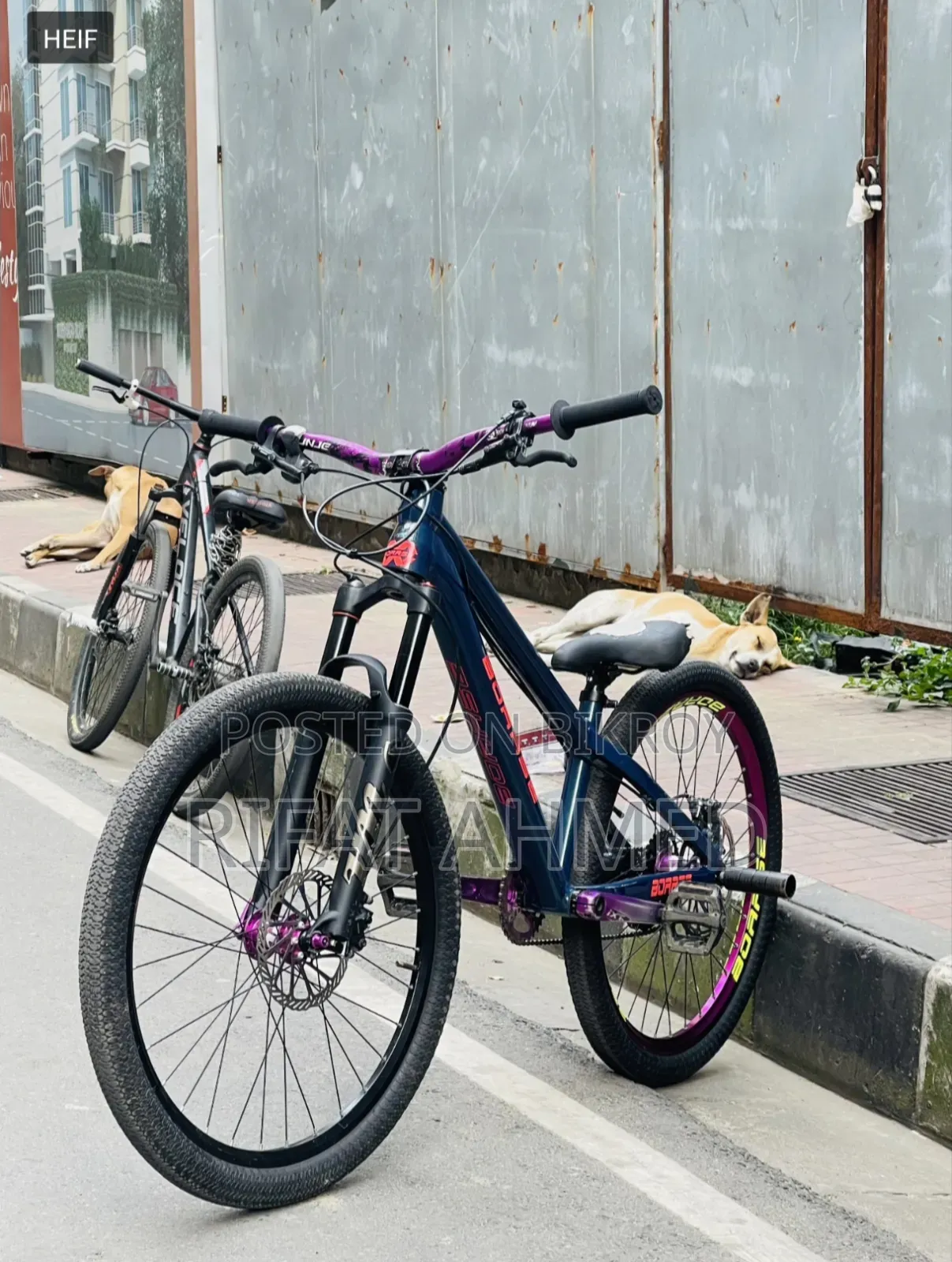 Boarse Sun 6.1 Aurora Blue