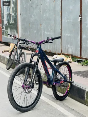 Boarse Sun 6.1 Aurora Blue