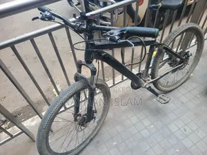 ফিনিক্স বাইসাইকেল
