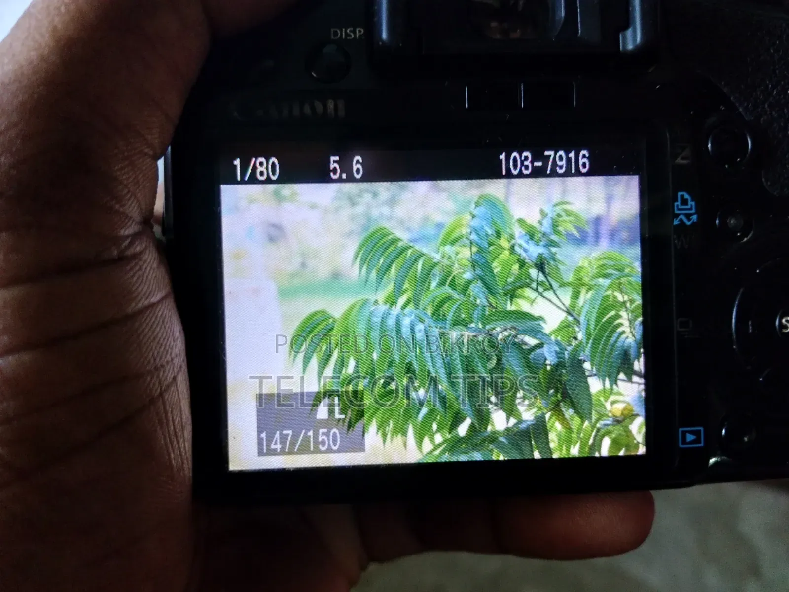 DSLR Camera