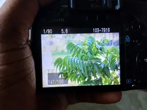DSLR Camera