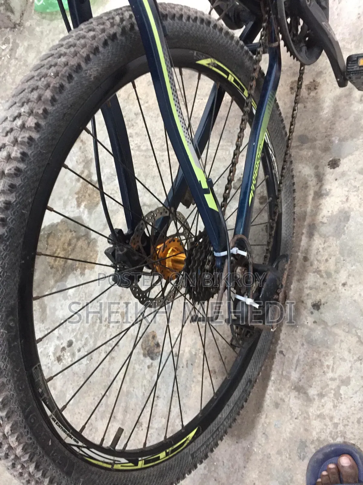 I need a lot of money which is why I will sell this cycle.