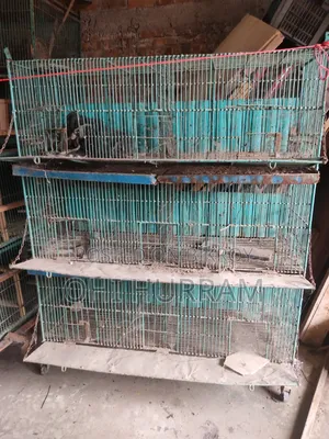 মুরগি কবুতরের খাঁচা