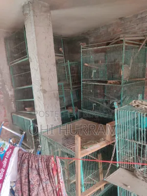 মুরগি কবুতরের খাঁচা