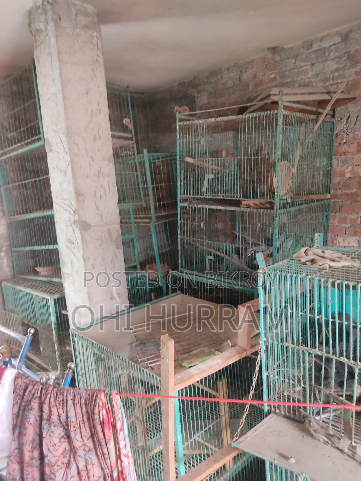 মুরগি কবুতরের খাঁচা