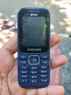 স্যামসাং বি ৩১০ নীল