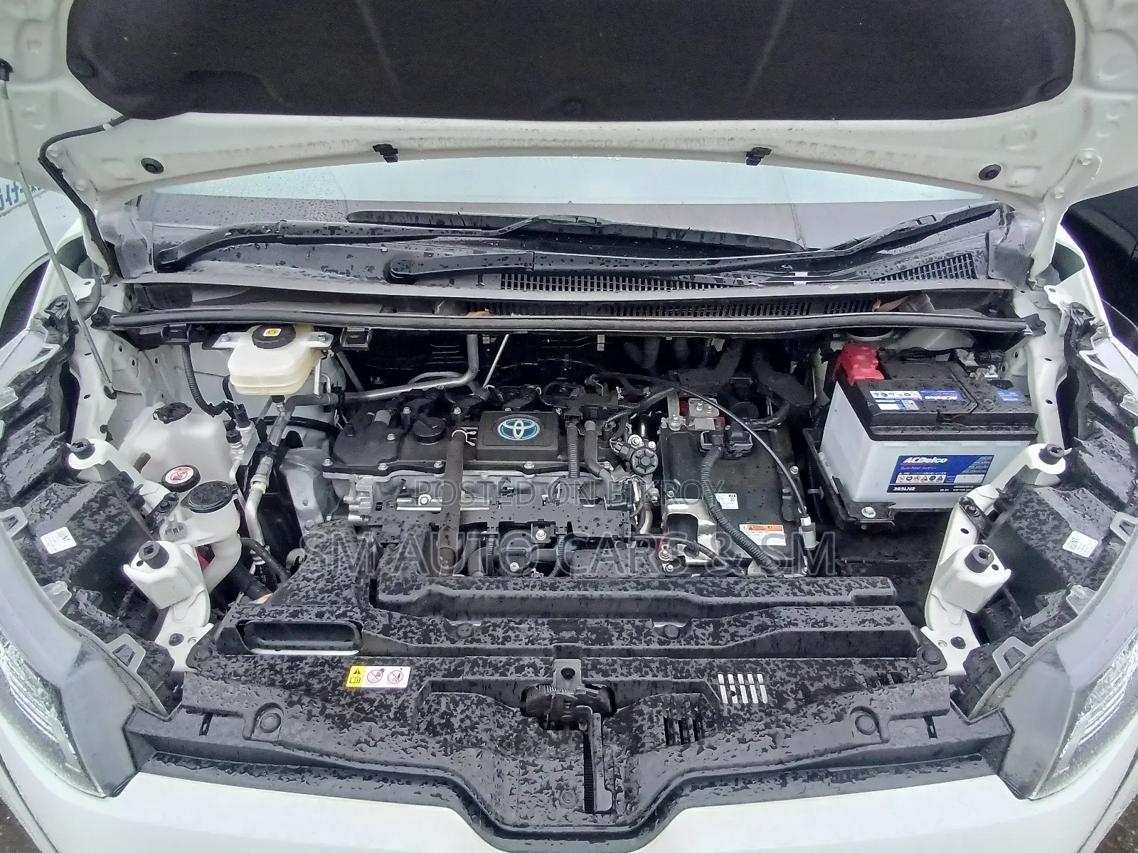 Toyota Noah 2022 Pearl