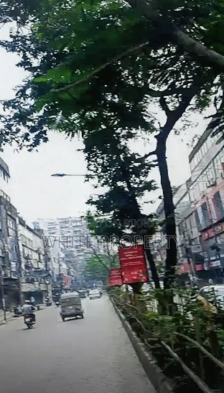 এলিফ্যান্ট রোড শপ সেল