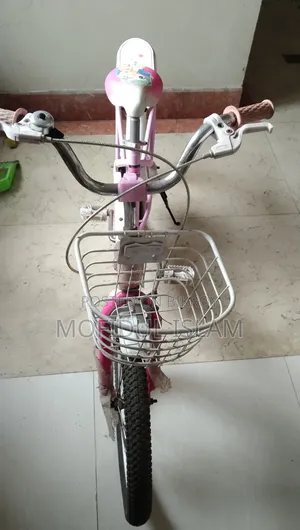 সাইকেল দেখতে নতুনের মতই আছে