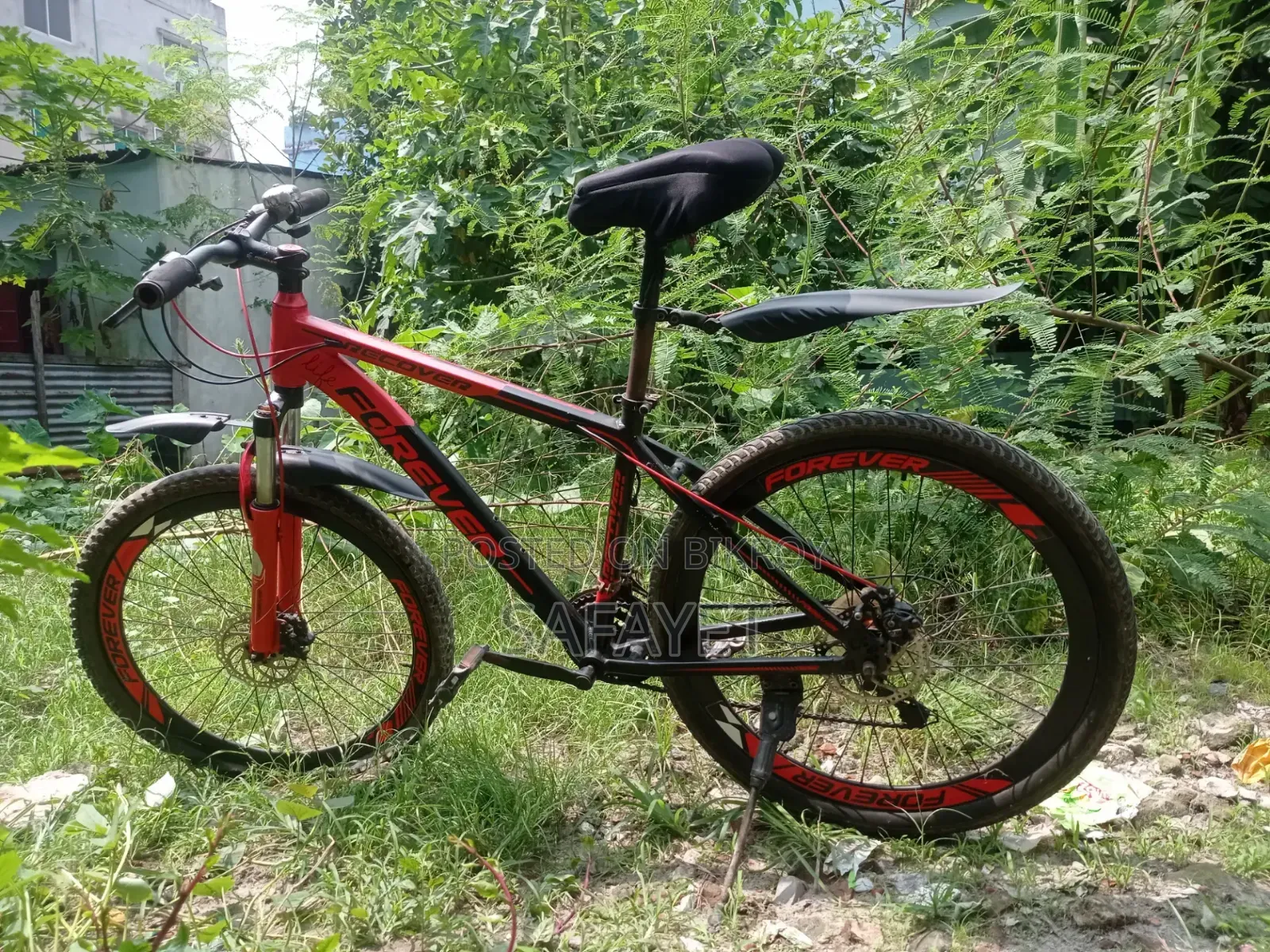 Forever Cycle 26"